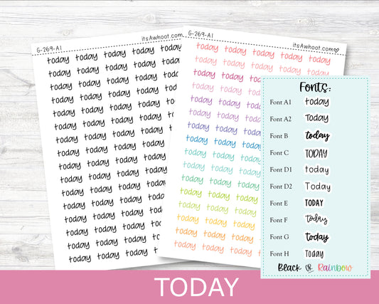 TODAY Script Planner Stickers - Multiple Fonts/Colors Available (G269)