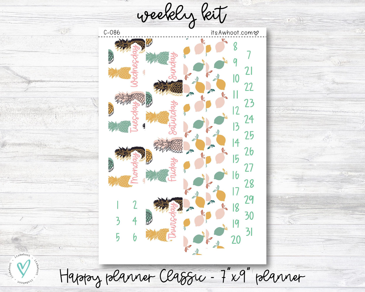 WEEKLY Kit Planner Stickers - "Tropical Fruit Summer" - Happy Planner CLASSIC / 7"x9" - Vertical (C086)