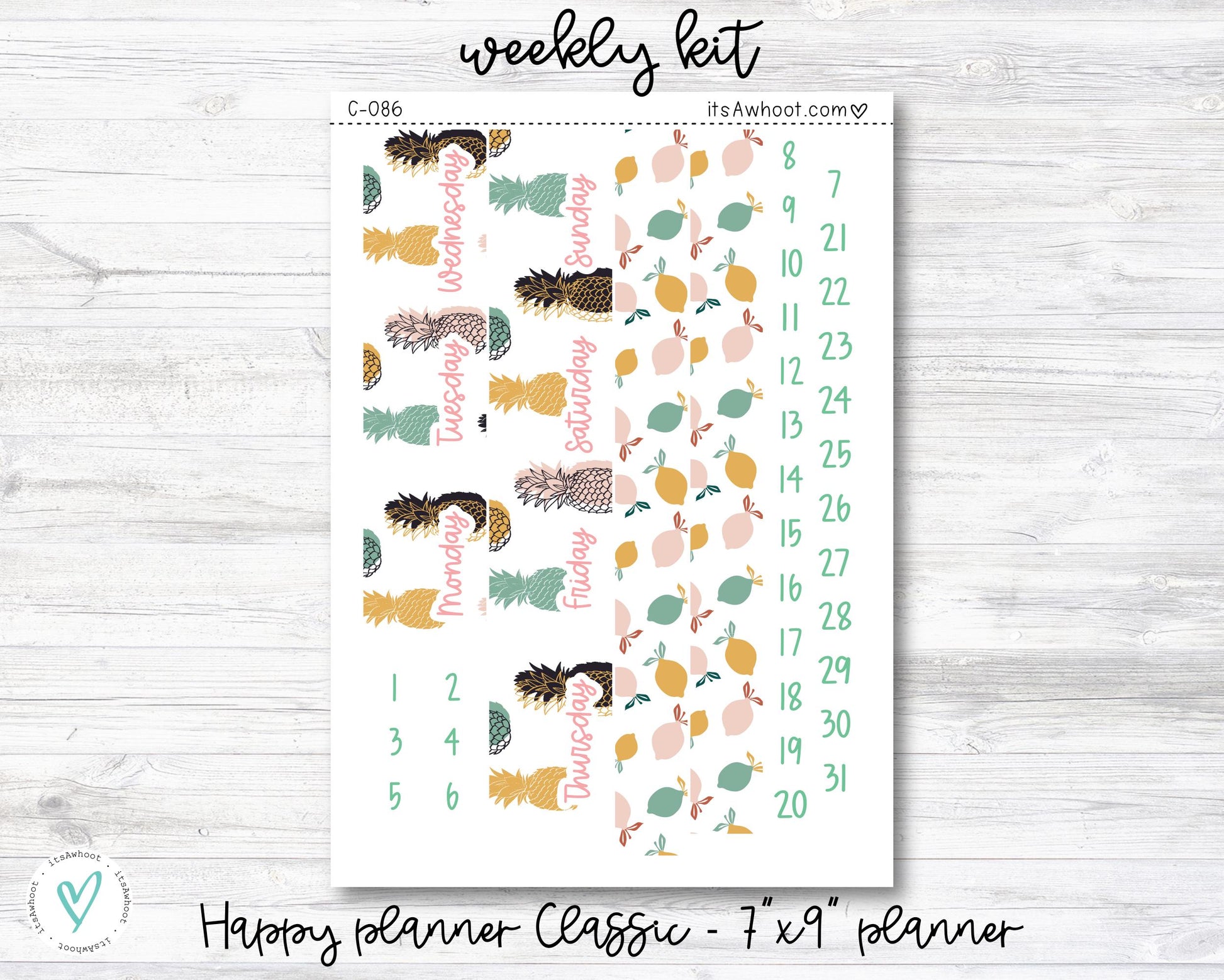 WEEKLY Kit Planner Stickers - "Tropical Fruit Summer" - Happy Planner CLASSIC / 7"x9" - Vertical (C086)