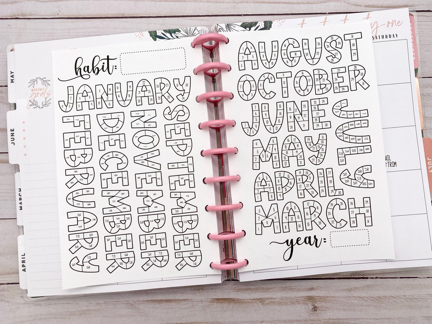 Habit Tracker Coloring Sheet, Month Habit Tracker Coloring Planner Insert, Year Habit Tracker Coloring Sheet Happy Planner Insert