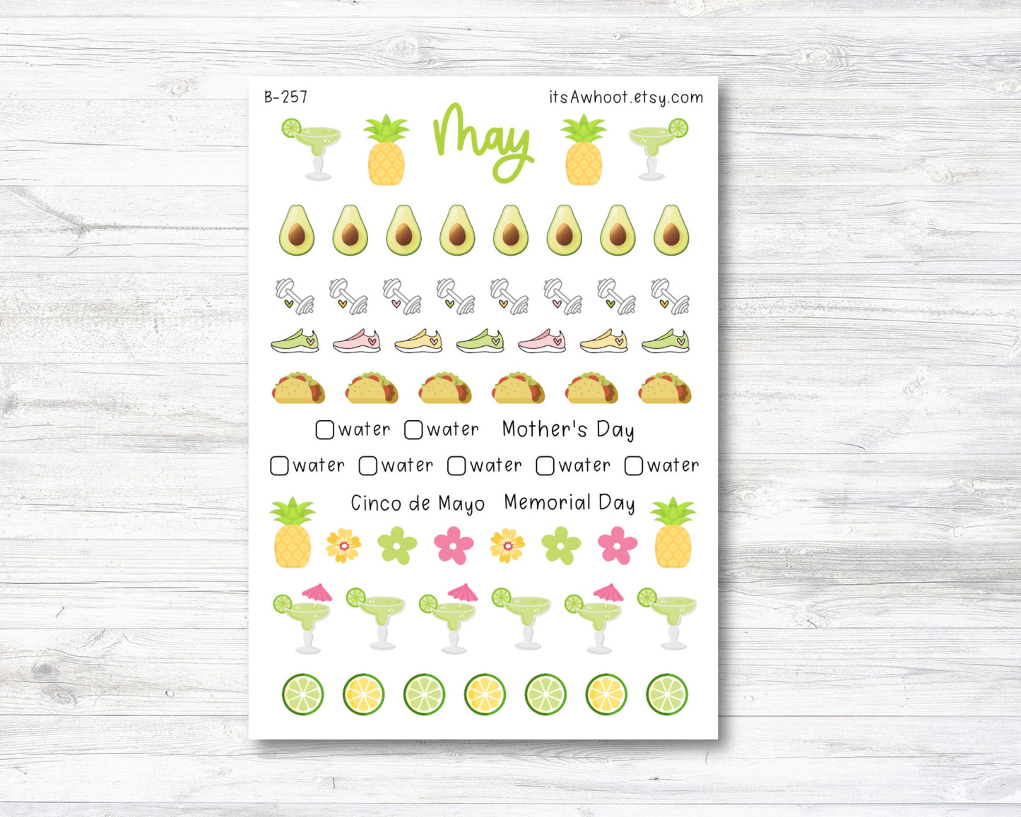 May Kit, Margarita Fiesta, Weight Loss Planner Stickers  (B257-May3)