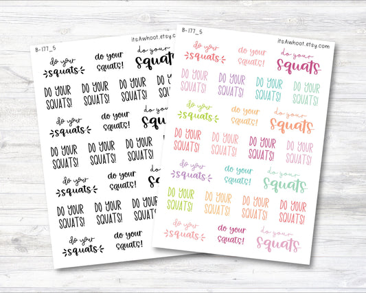 Do Your Squats Motivation/Inspiration Script Stickers (B177_5)