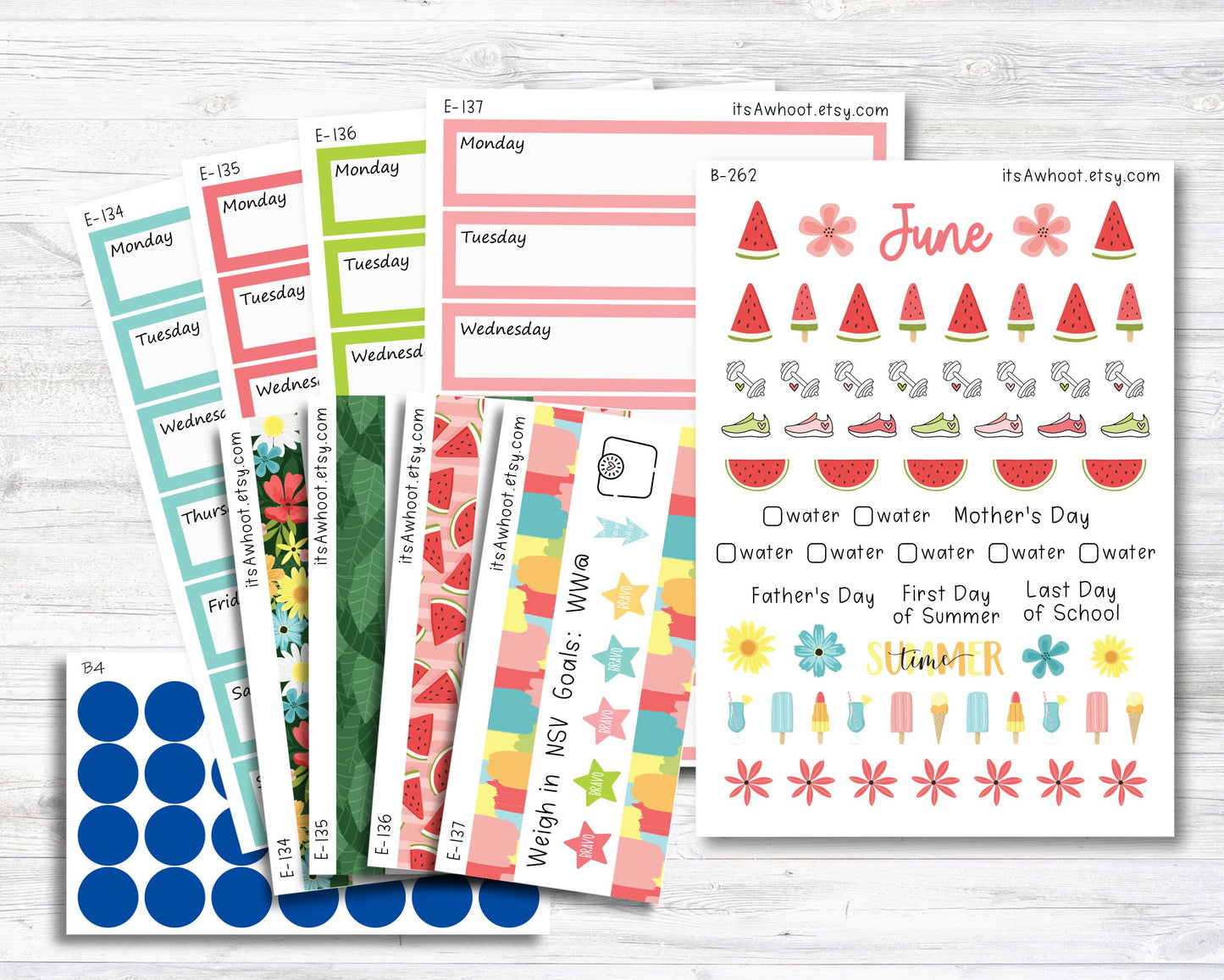 June Kit, Watermelon Summer, Weight Loss Planner Stickers  (B262-June3)