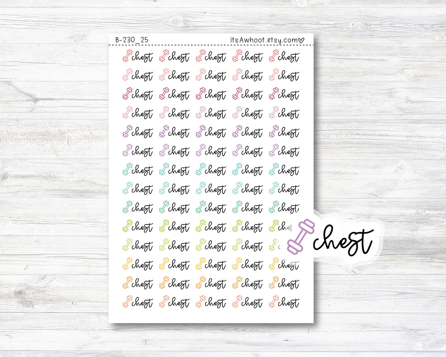 Chest Script Stickers, Chest Planner Stickers, Chest with Dumbbell Icon Stickers (B230_25)