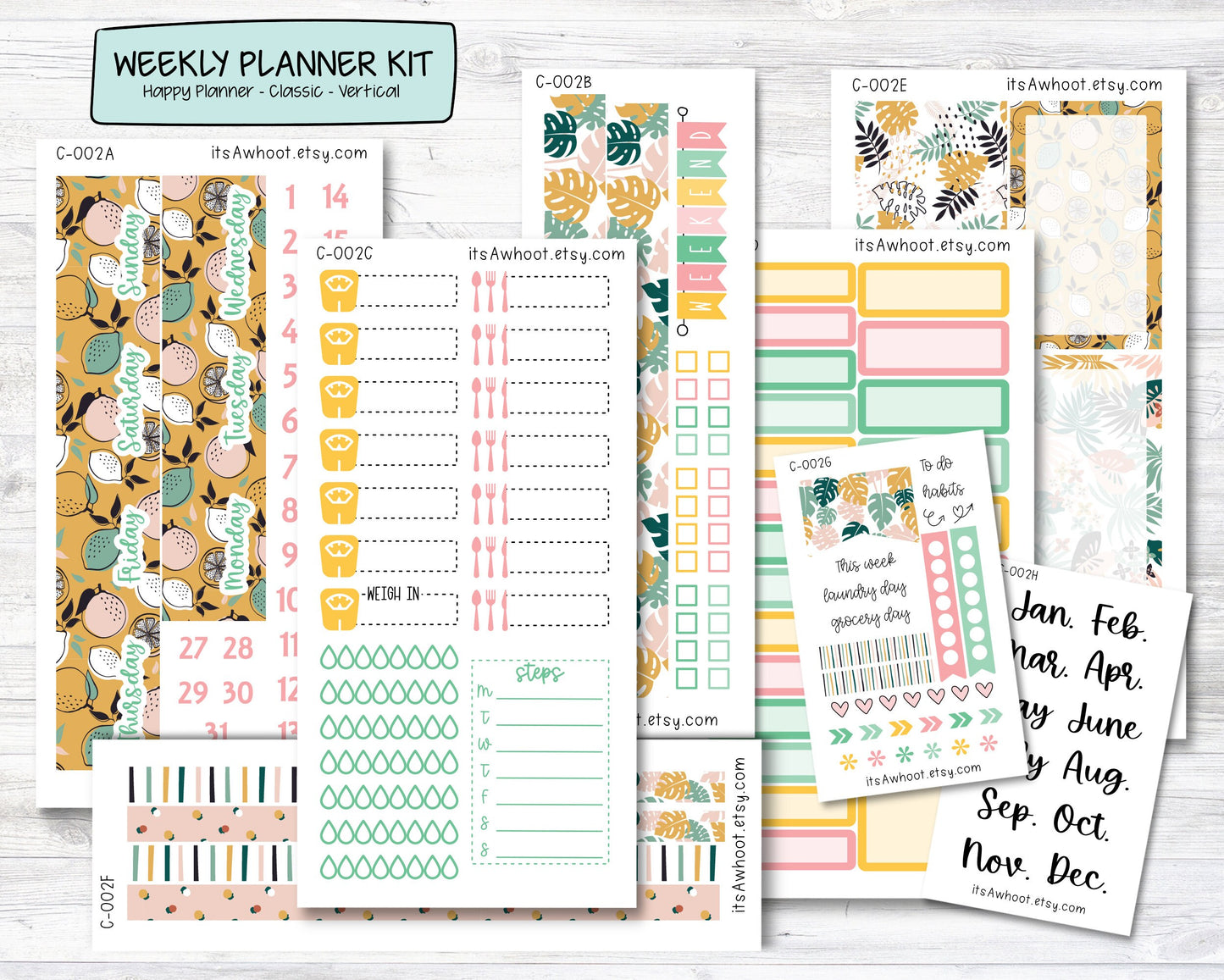 WEEKLY Kit Planner Stickers - "Tropical Fruit Summer" - Happy Planner CLASSIC - Vertical (C002)