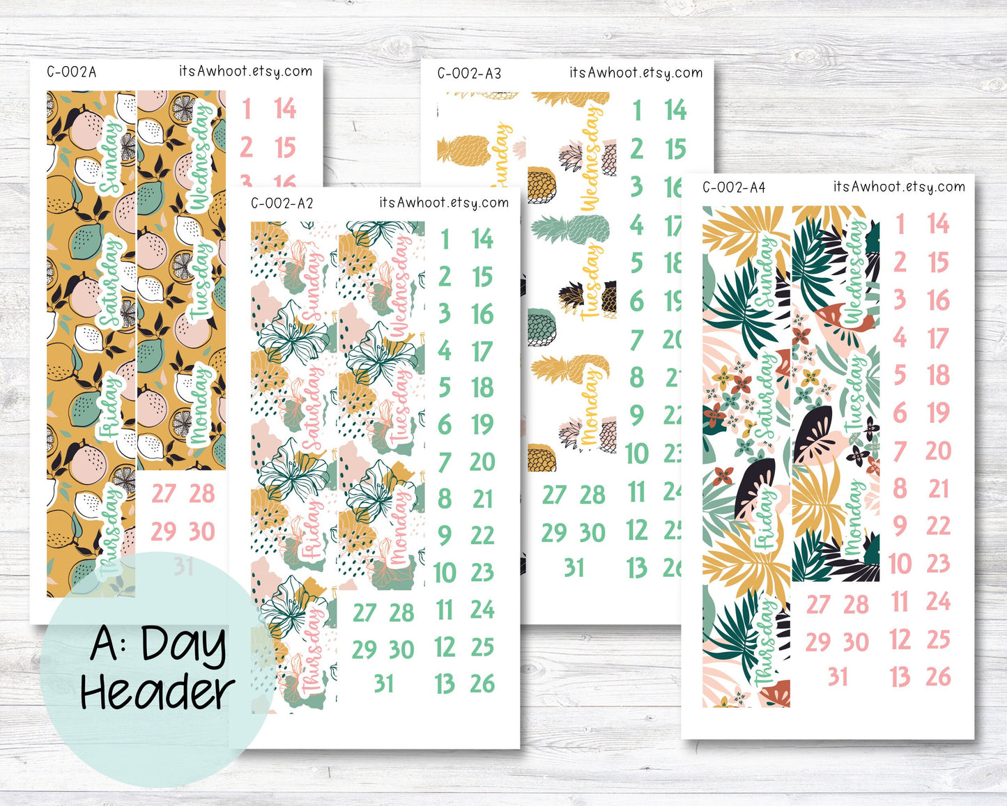 WEEKLY Kit Planner Stickers - "Tropical Fruit Summer" - Happy Planner CLASSIC - Vertical (C002)