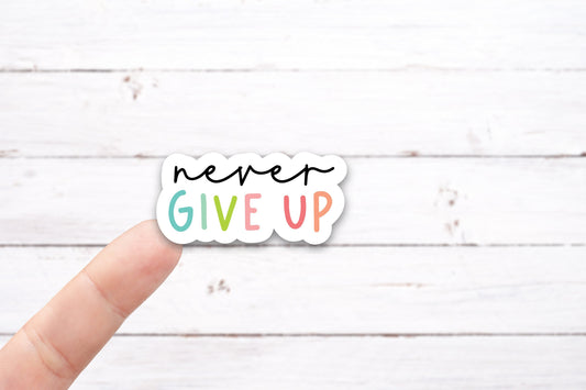 NEVER GIVE UP Vinyl Decal (I021)