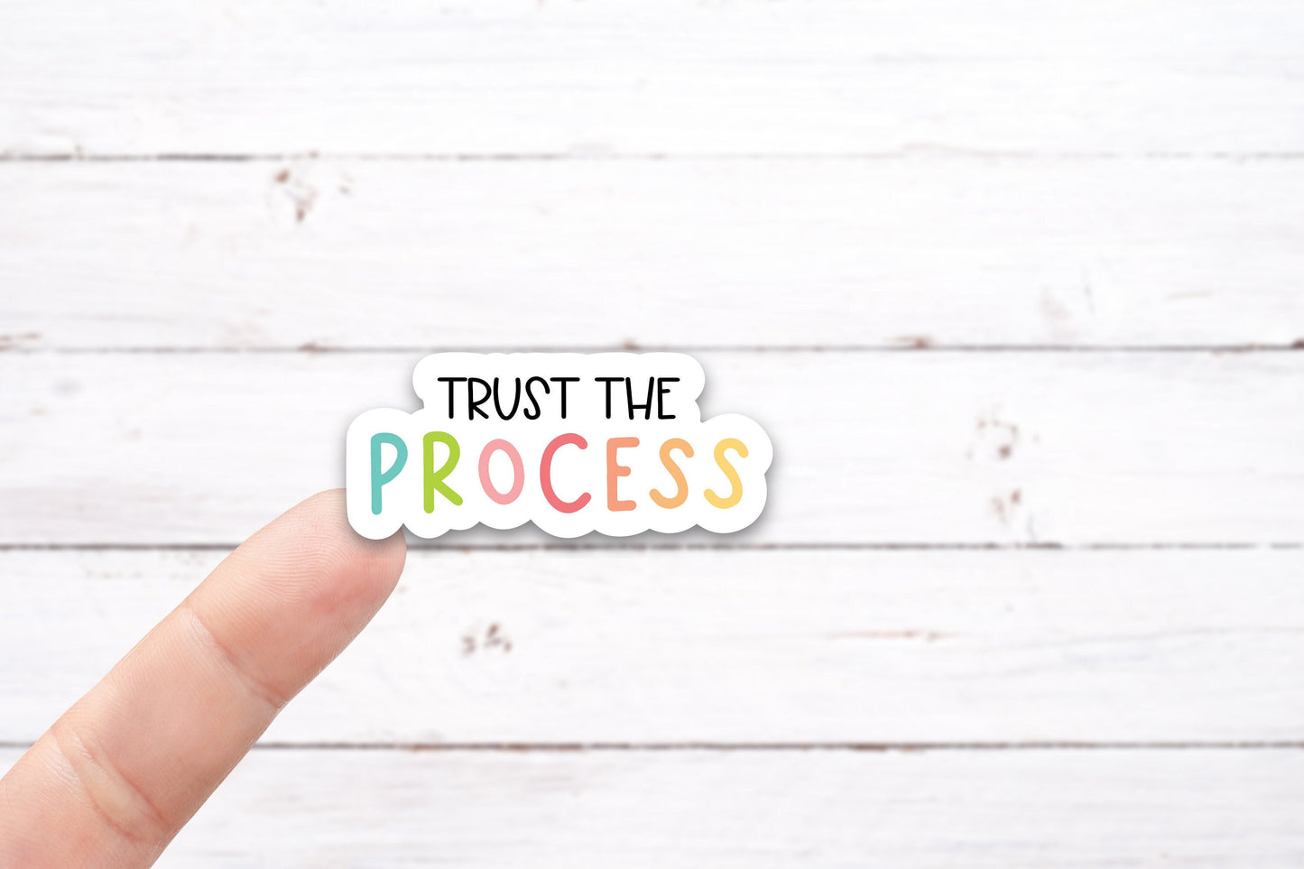 TRUST THE PROCESS Vinyl Decal (I033)